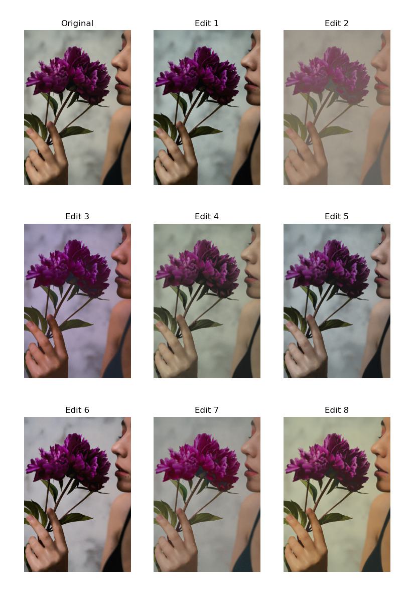 A 3 by 3 grid of the original and 8 edited images of a puppy