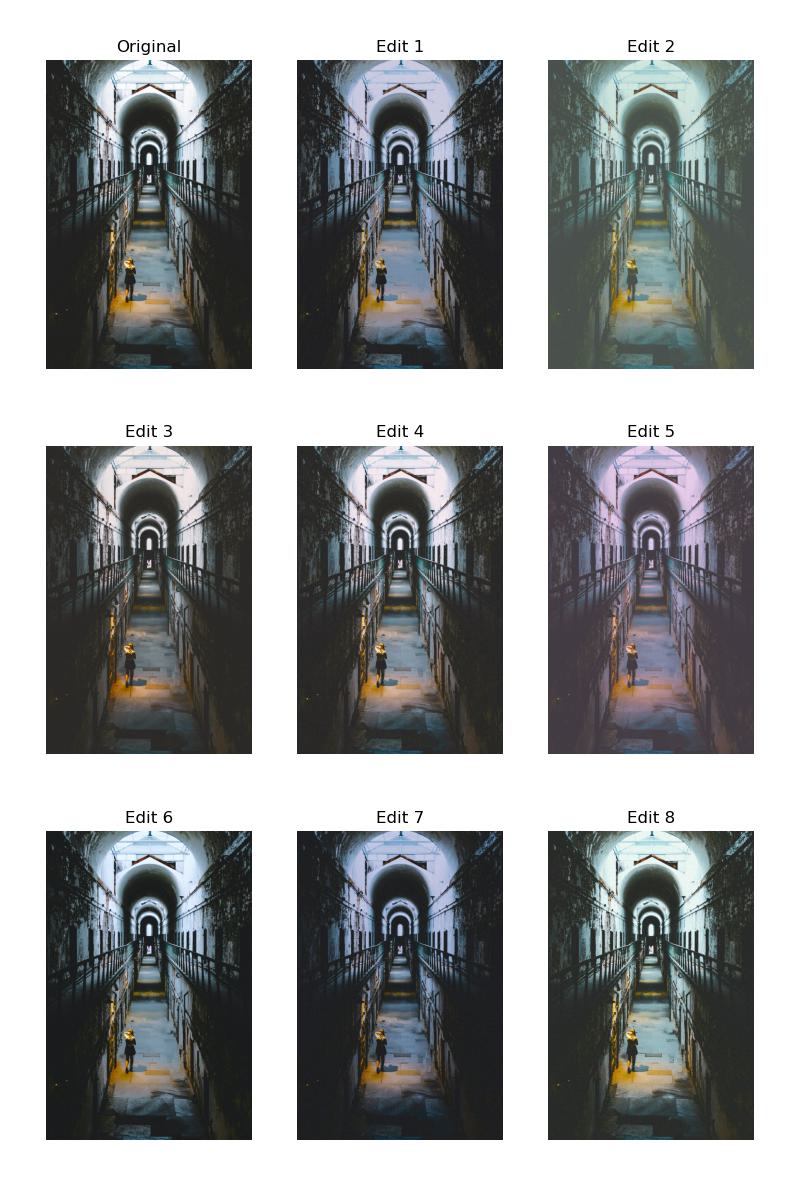 A 3 by 3 grid of the original and 8 edited images of a puppy