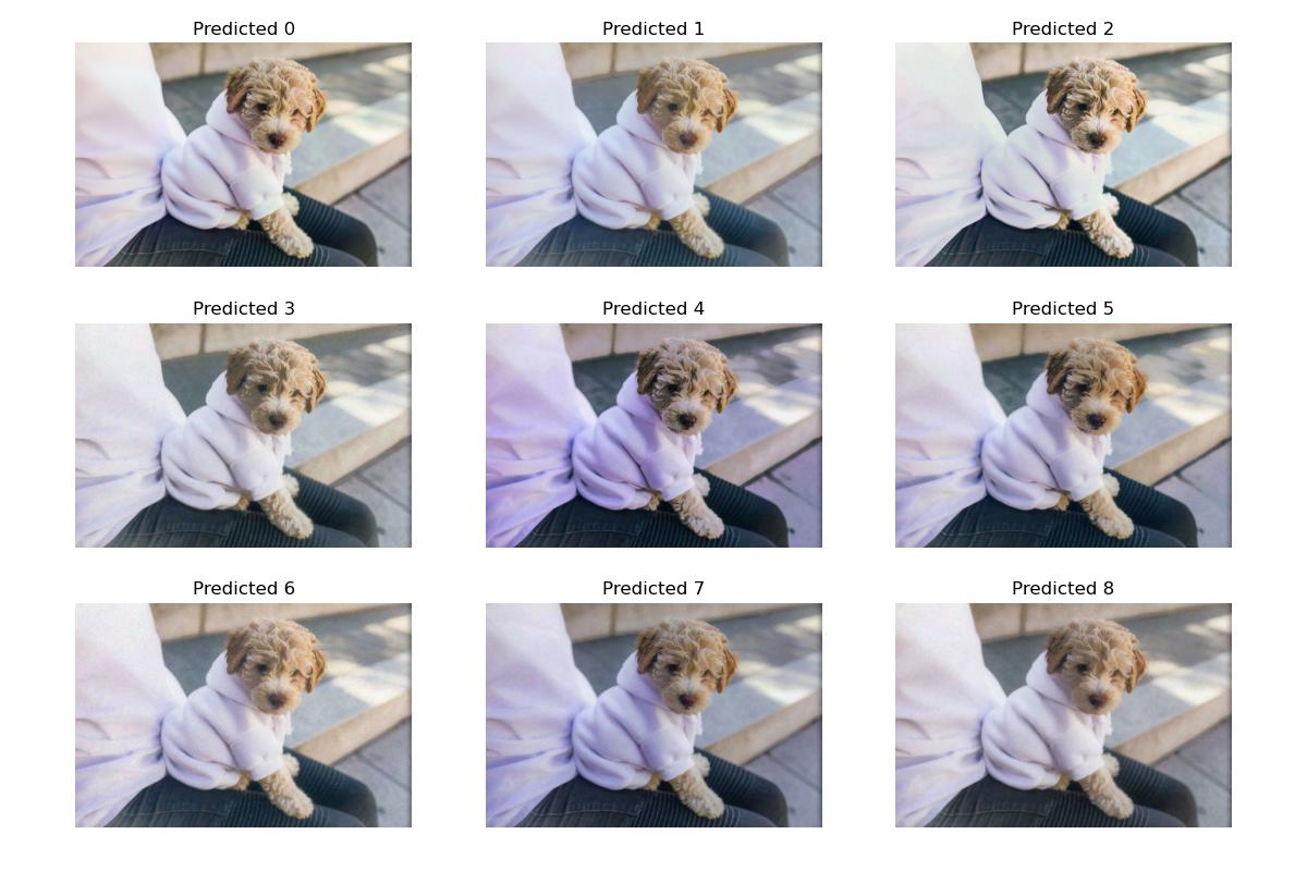 A 3 by 3 grid of the 9 predicted styles of an image of a puppy