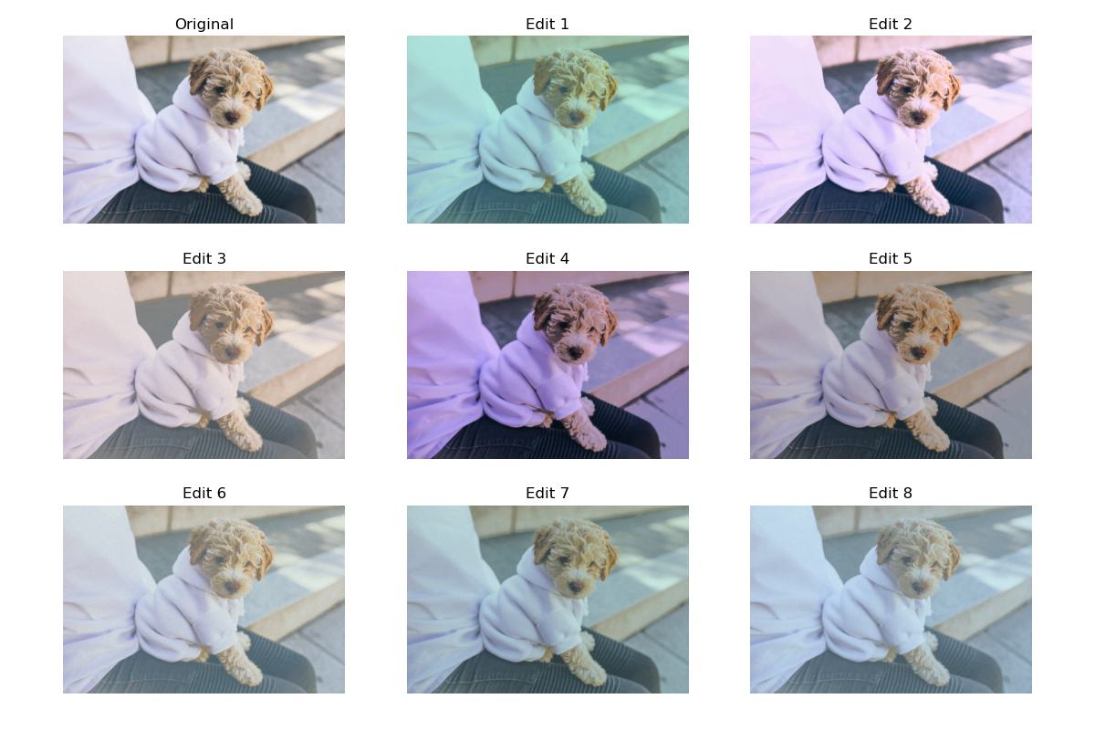 A 3 by 3 grid of the original and 8 edited images of a puppy